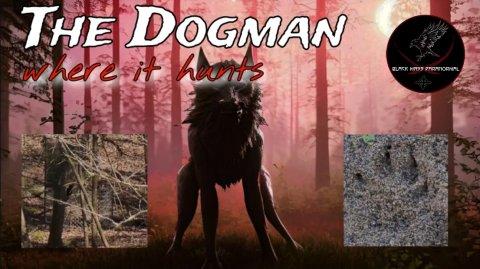 S01E03 The Dogman of Mountain National Park