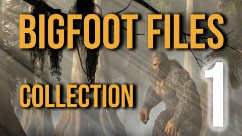 Bigfoot Files Collection